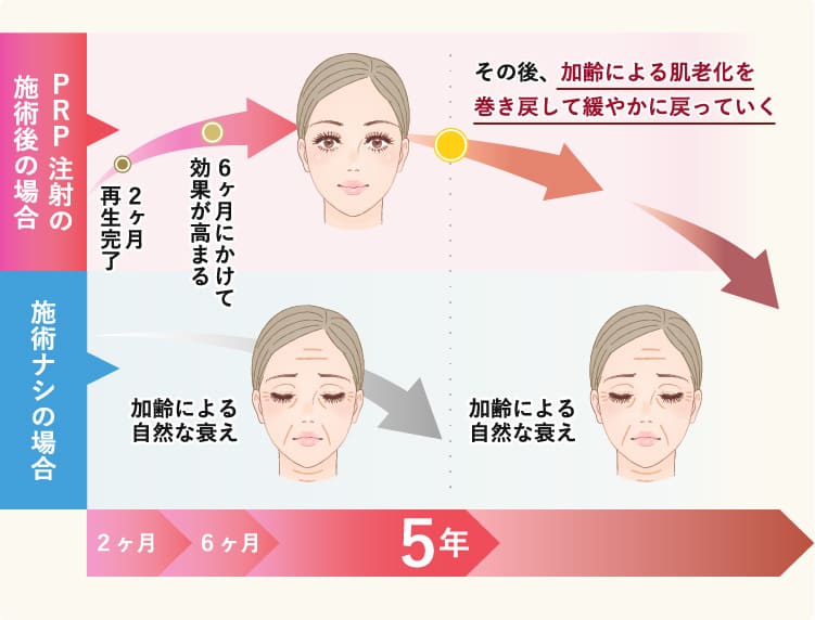 加齢による肌老化を巻き戻して穏やかに戻っていく