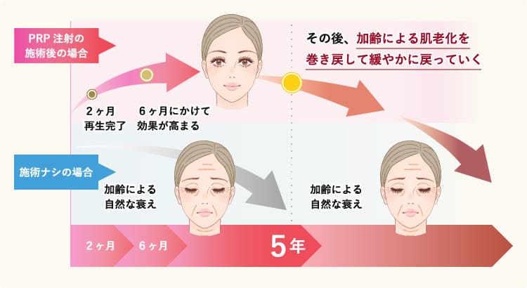 加齢による肌老化を巻き戻して穏やかに戻っていく