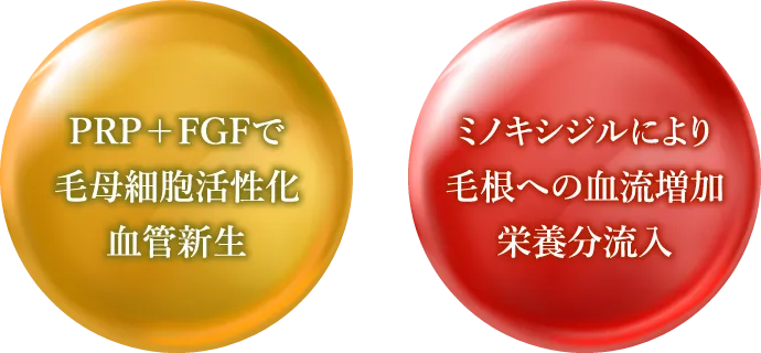 PRP+FGFで毛母細胞活性化血管新生・ミノキシジルにより毛根への血流増加栄養分流入